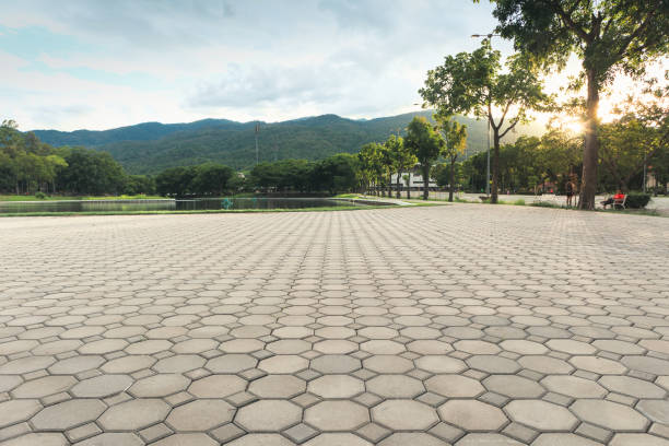 Best Permeable Paver Driveway  in Delavan, WI